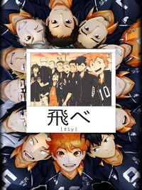 Karasuno team