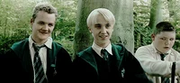 Draco malfoy 
