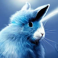 FunnyFunnybluerabbit