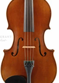 Viola 