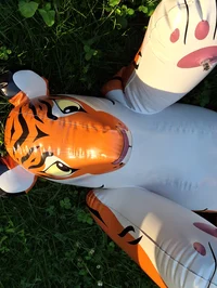 Inflatable wildcats