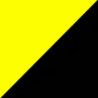 Anarcho Capitalist