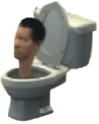 Medium Skibidi Toile