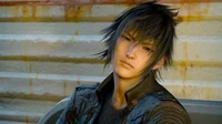 Noctis Lucis Caelum