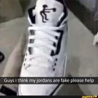 Fake Jays 