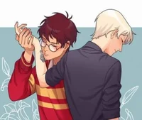 Draco and Harry