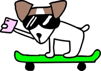 jack russell terrier