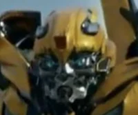 Bumblebee TLK