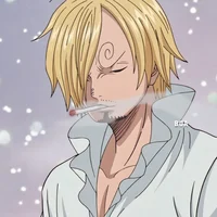 Winter with Sanji 