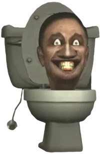 Semi-Large Toilet