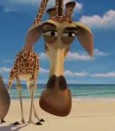 Melman
