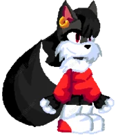 Marie the cat sonic