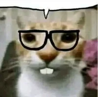 Gato Nerd 