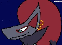 Marcy the zoroark