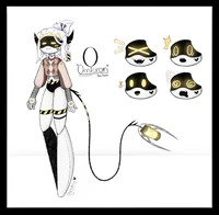 Serial Designation O