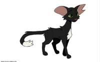 Ravenpaw