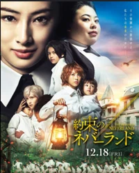 The Promise Neverlan