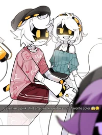 the disasembl drones