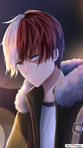 Shoto Todoroki 