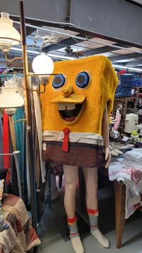 Spandzybob