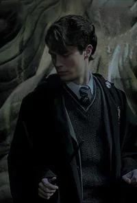 Tom riddle