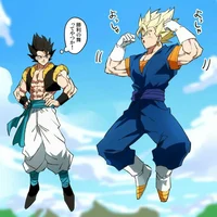 Gogeta And Vegito