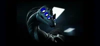 Female sentinel 