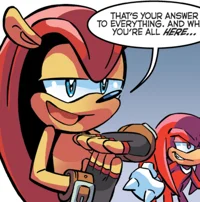 Mighty The Armadillo