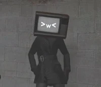 Tv_woman