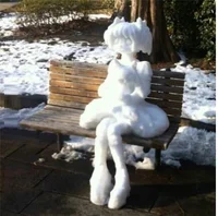 SNOW
