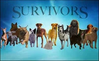 Survivors RPG