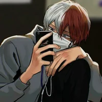 Alpha Shoto Todoroki
