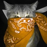 Cat with bandana
