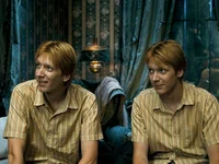 Twins Weasley 