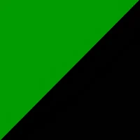 Anarcho Primitivist