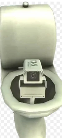 Camera toilet