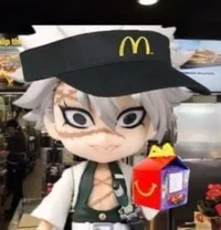 mcdonald sanemi