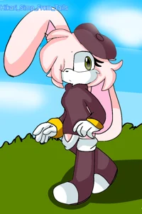 Hikari The Rabbit 