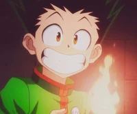 Gon freecss 