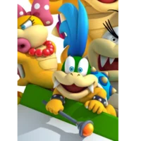 Larry koopa