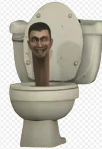 Sibidi toilet 