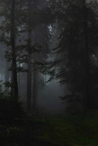 Dark Forest