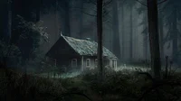 Cabin in the woods