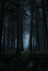 Dark Forest -