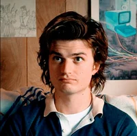 Steve Harrington 