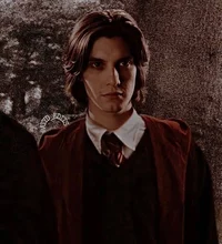 Young Sirius Black