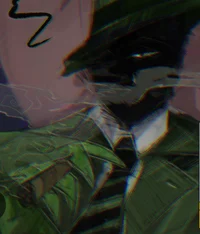 Mr