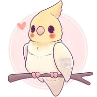 Ori the cockatiel