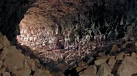 Bone-Strewn Cave
