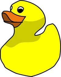 A Duck BFB